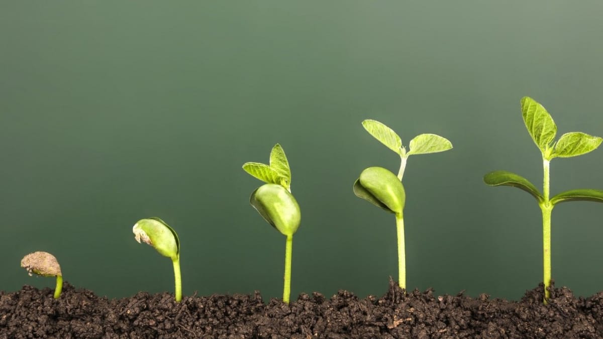 The Modern Growth Playbook: PLG + Sales to Achieve Breakout Scale