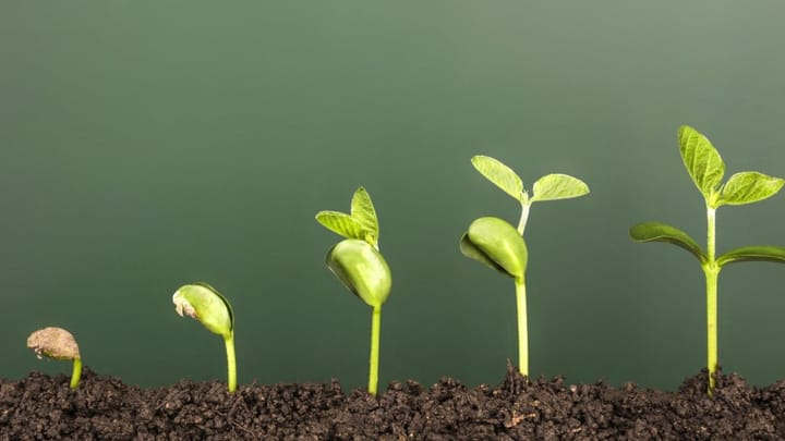 The Modern Growth Playbook: PLG + Sales to Achieve Breakout Scale